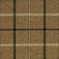 Sophie Check Brown