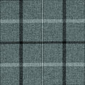 Sophie Check Grey