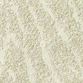 Zebra Cream