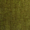Vogue Olive