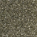 Zara Olive